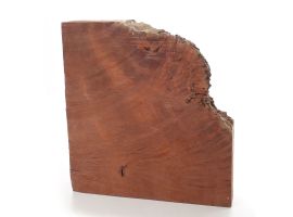 Jarrah Burr 60mm x 310mm x 330mm