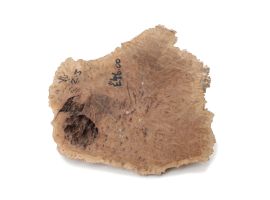 York Gum Goldfield Burr 230mm x 210mm x 100mm