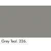Grey Teal